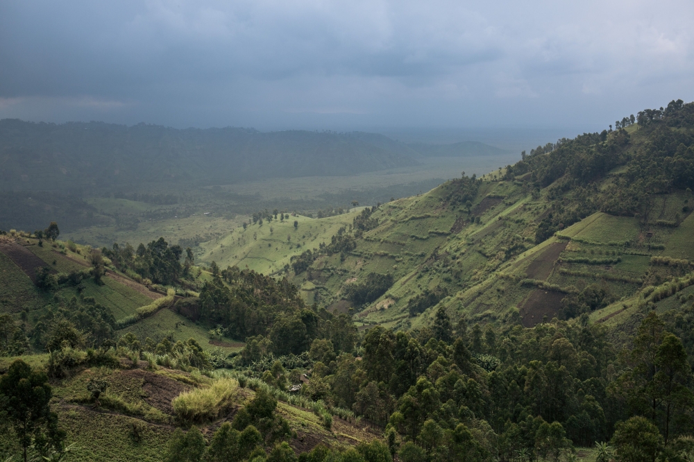This photograph, taken on September 28, 2019, shows the crops bordering Virunga National Park, northeast of the Democratic Republic of Congo. In North Kivu province, illegal logging is one of the main threats to the conservation of Virunga National Park a