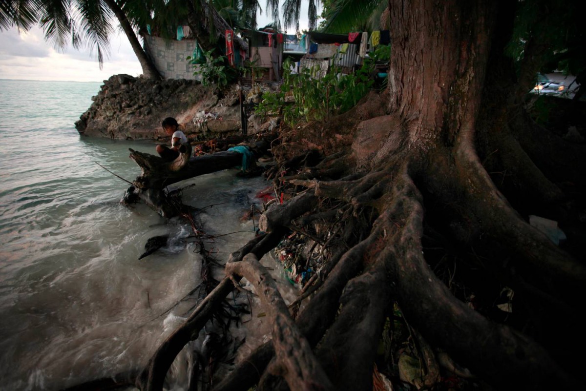 A girl sits on a log next to the roots of a tree which have been exposed as a result of high-tides near the village of Teaoraereke on South Tarawa in Kiribati nation, May 25, 2013. Reuters / David Gray