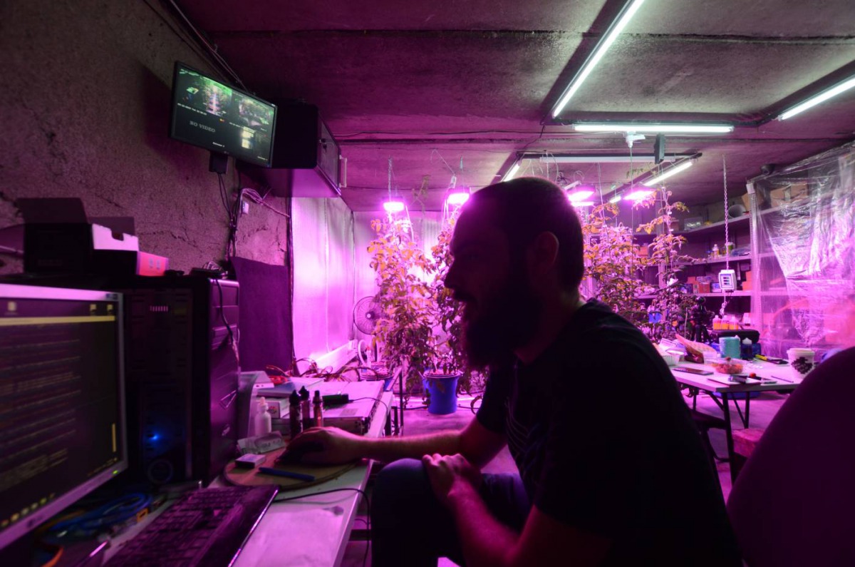 File photo: Georgian entrepreneur Shota Siradze works at a computer mining cryptocurrency inside a basement turned urban farm in Tbilisi, on March 12, 2019. Thomson Reuters Foundation / Umberto Bacchi