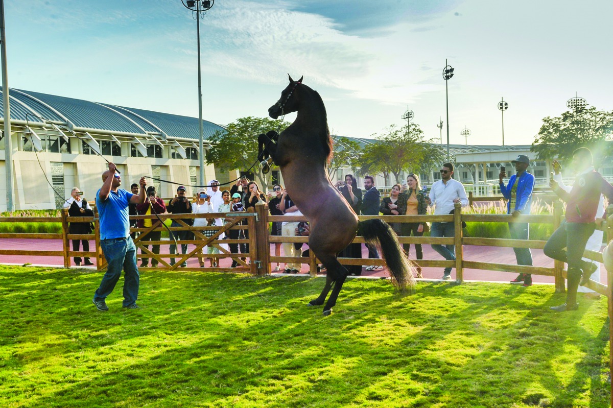World champion in high jump Mutaz Barshim, hurdler Mariam Farid and showjumper Hamad Ali Al Attiyah, during their visit to the Longines Arena at Al Shaqab yesterday. 