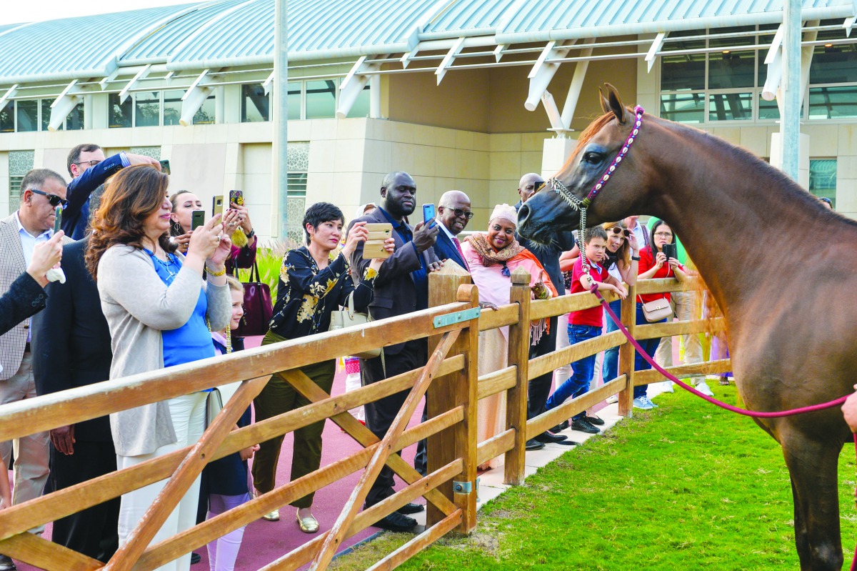 The SOHOM group and ambassadors were in awe of the exceptional facilities and the magnificent Arabian horses of Al Shaqab.  