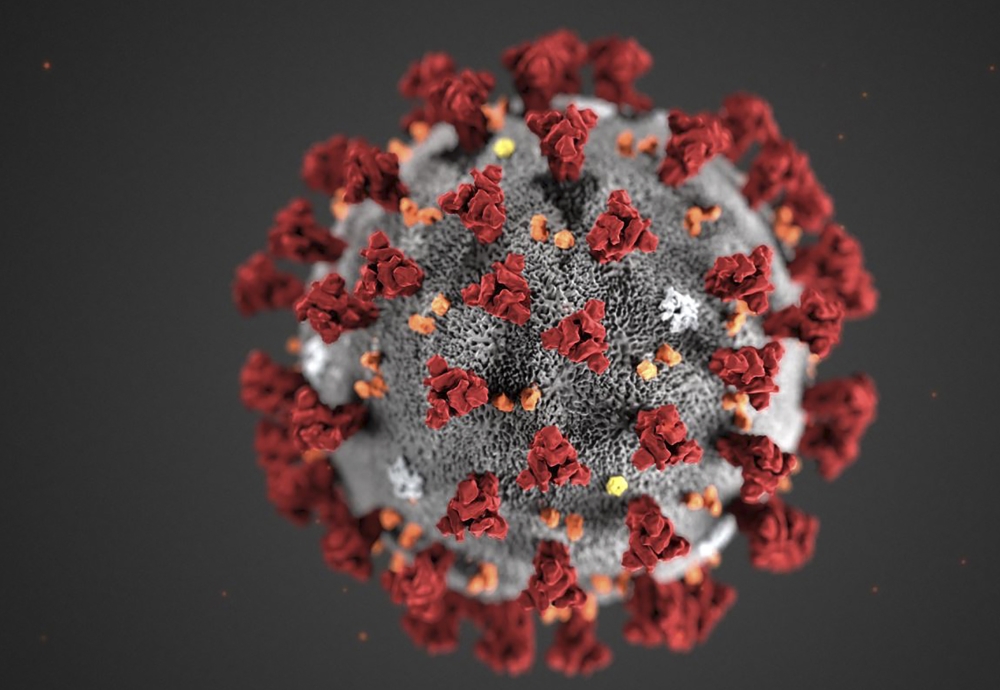 The Illustration reveals ultrastructural morphology exhibited by the novel coronavirus, COVID-19. AFP/Centers For Disease Control And Prevention handout /Alissa Eckert