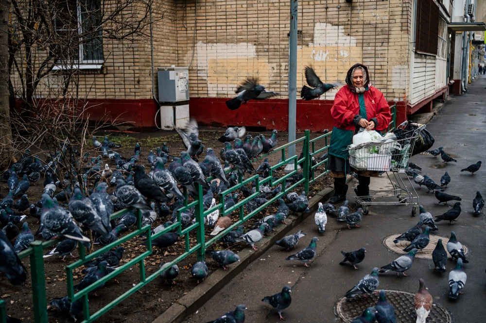 A woman feeds pigeons in Moscow on March 4, 2020. AFP / Dimitar Dilkoff