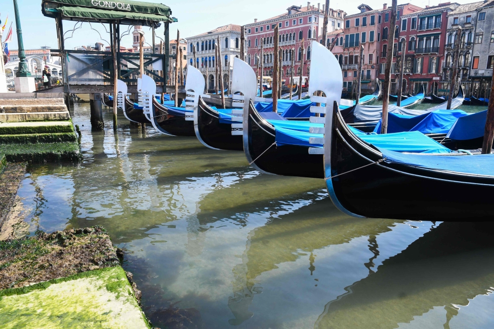 A view shows clearer waters by gondolas in Venice's Grand Canal near the Rialto Bridge (Rear L) on March 17, 2020 as a result of the stoppage of motorboat traffic, following the country's lockdown within the new coronavirus crisis. / AFP / ANDREA PATTARO
