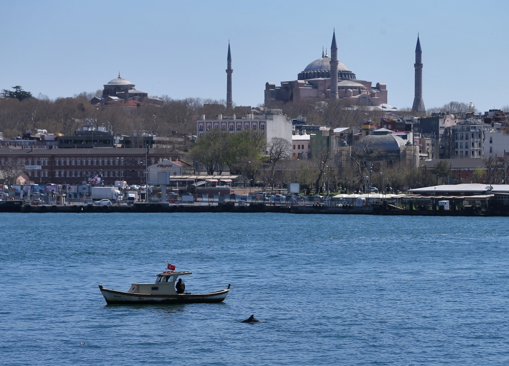 ISTANBUL, TURKEY - APRIL 16: Dolphin swims past a fishing boat off the coast of Karakoy, Istanbul on April 16, 2020. ( ?sa Terli - Anadolu Agency )