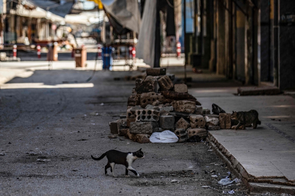 A stray cat crosses a street near the closed meat market in the center of Qamishli city, in Syria's northeastern Hasakeh province, on April 18, 2020,  AFP / DELIL SOULEIMAN