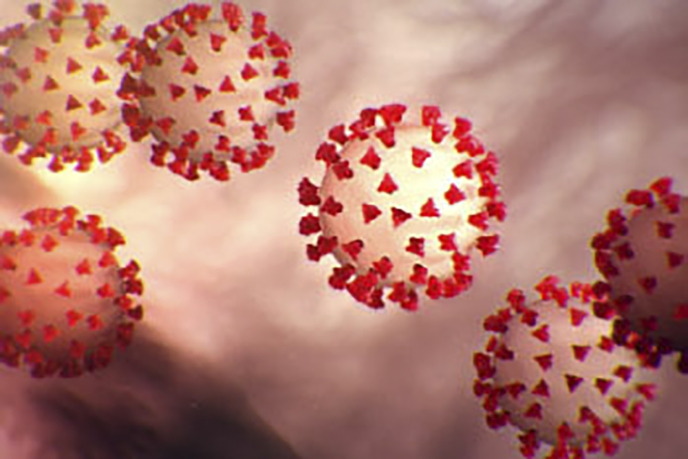(FILES) This handout file illustration image obtained February 27, 2020 courtesy of the Centers for Disease Control and Prevention and created at the Centers for Disease Control and Prevention (CDC) shows the coronavirus,COVID-19./ AFP / Centers for Disea