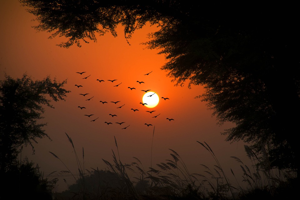 Representational image