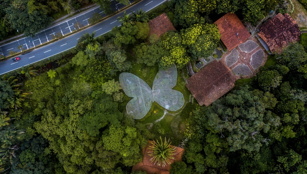 General view of the botanical garden in Quindio, Colombia on July 6, 2020.  AFP / Freddy NAVARRO