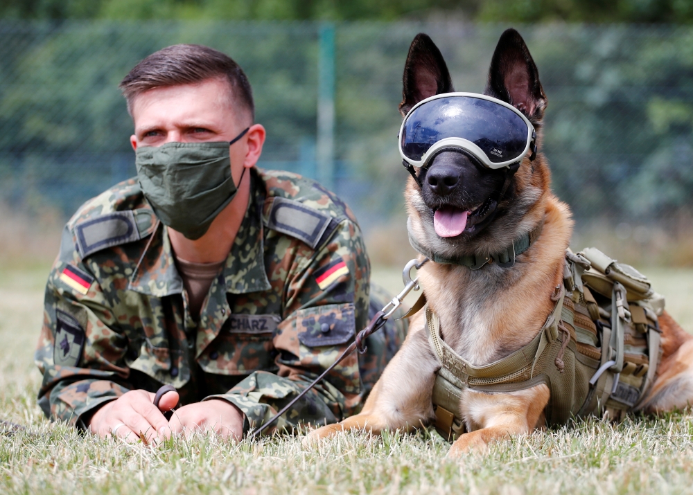 Erec Junior, a three year-old sniffing dog wears protection goggles against the sun and dust as he poses together with Robert Zacharz for photographers at the sniffing dogs school of the German Army (Bundeswehr) in Daun, Germany, July 24, 2020. /REUTERS/W