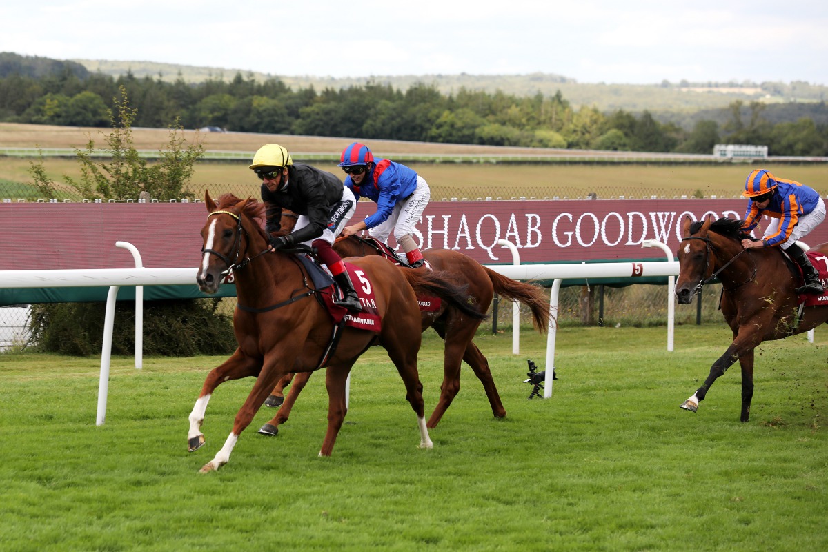 Jockey Frankie Dettori and Stradivarius on their way to win the Al Shaqab Goodwood Cup 2020 at Qatar Goodwood Festival yesterday.