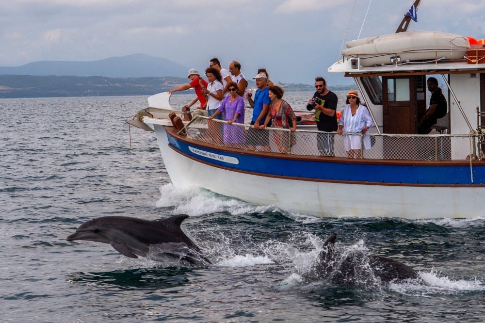 Tourists take pictures during a dolphin watching tour from a boat in the Amvrakikos gulf, in Preveza,northwestern Greece, on August 6, 2020. / AFP / Angelos Tzortzinis