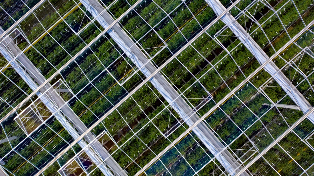Lufa Farms, a company just opened what it says is the world's largest commercial rooftop greenhouse is seen in an aerial photo of the greenhouse in Montreal, Quebec on July 22, 2020. Building on a new hanging garden trend, a greenhouse atop a Montreal war