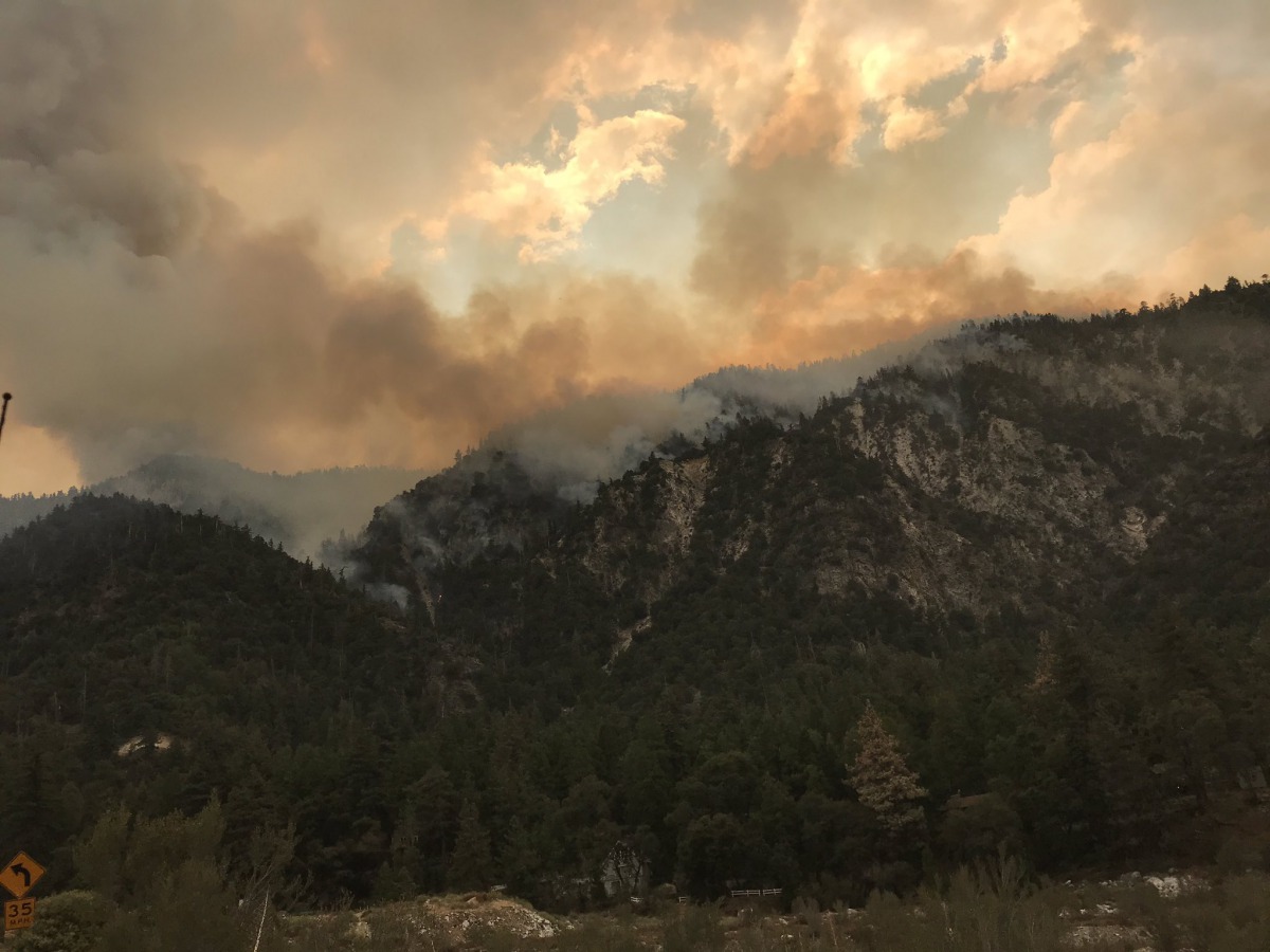 Photo by CALFIREBDU / Twitter 
