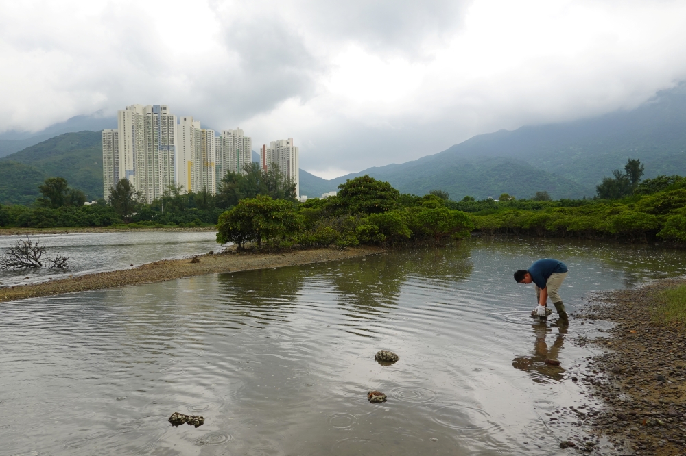 Climate activist Lance Lau, 11, picks up trash at San Tau Beach during a climate strike and a beach clean-up on Lantau island in Hong Kong, China September 25, 2020. REUTERS/Joyce Zhou