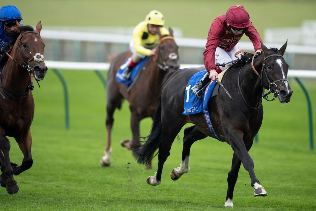 Qatar Racing Limited-owned Kameko in action  in the Shadwell Joel Stakes (Group 2), at Newmarket yesterday. Pic: Racing Post