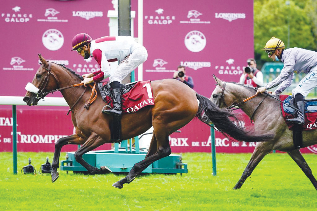Lady Princess (front) races to victory, yesterday. 