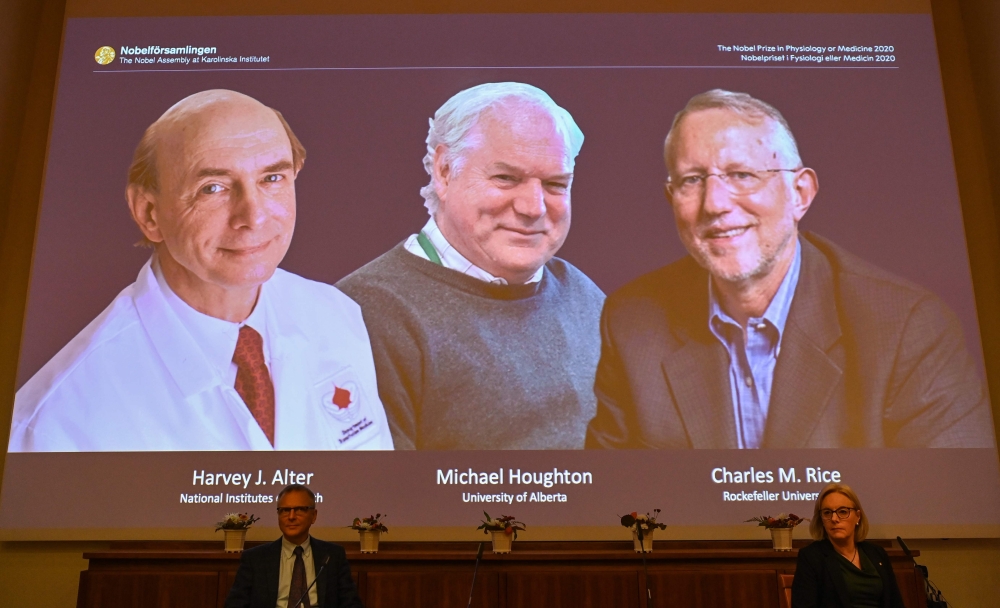 Nobel Committee members Patrik Ernfors (L) and Gunilla Karlsson Hedestam sit in front of a screen displaying the winners of the 2020 Nobel Prize in Physiology or Medicine (L-R) American Harvey Alter, Briton Michael Houghton and American Charles Rice durin