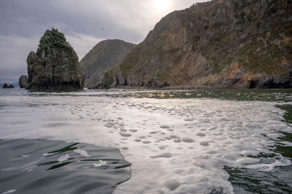 This handout picture released by Greenpeace on October 5, 2020 shows the water area near the Khalaktyr beach on the Kamchatka peninsula./ AFP / GREENPEACE / Handout / 