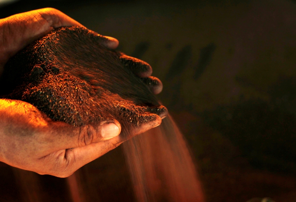 A worker poses with a handful of nickel ore at the nickel mining factory of PT Vale Tbk, near Sorowako, Indonesia, January 8, 2014. REUTERS/Yusuf Ahmad/File Photo/File Photo