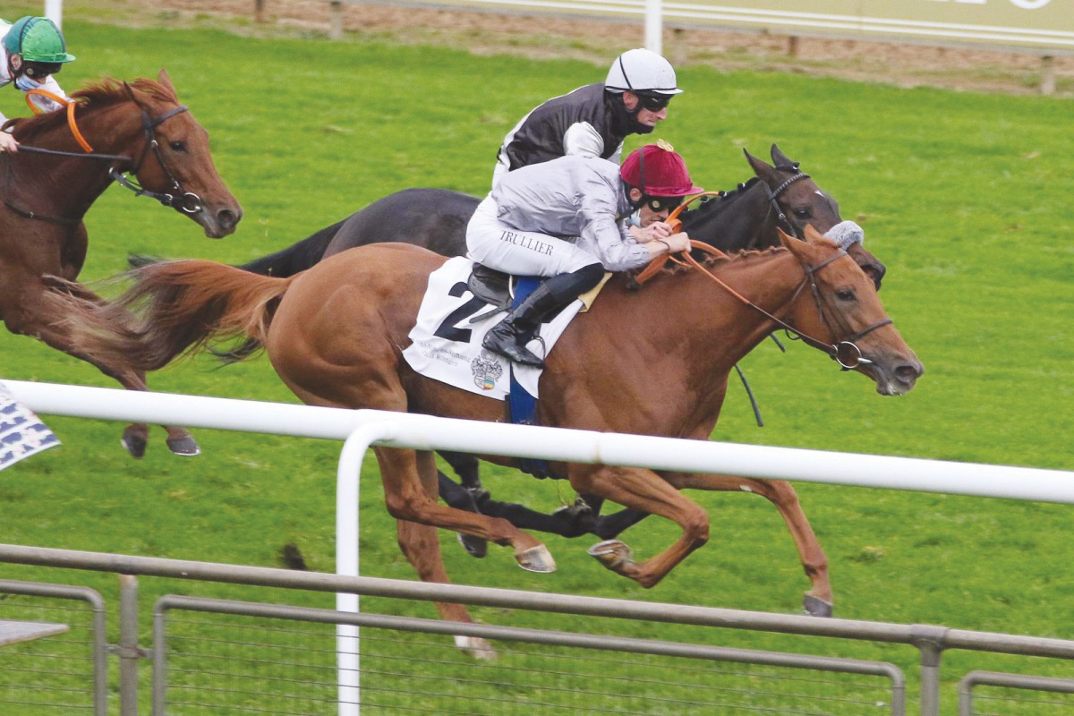 Jockey Thomas Trullier riding Al Shaqab Racing’s Lucky Lycra (IRE) toward victory in the Grosser Preis der Mehl-Mulhens-Stiftung (Gr3) at Hanover, Germany on Sunday.