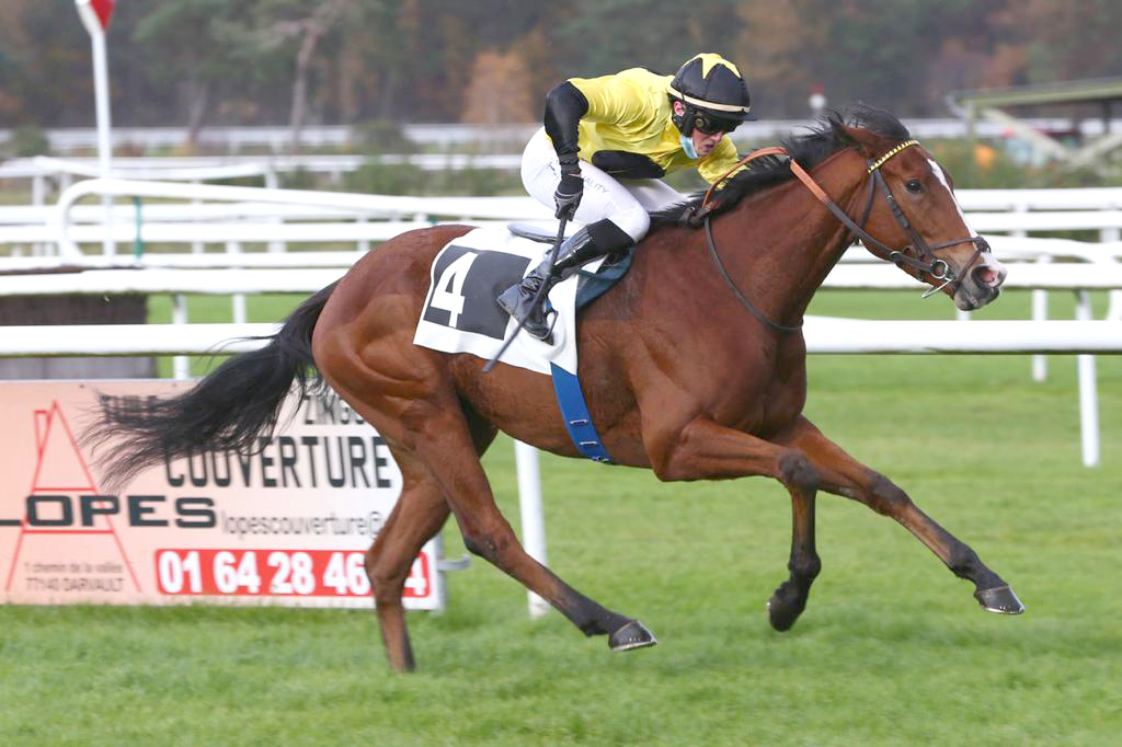 Honey Cake in action during Prix Cérès in Fontainebleau, yesterday. 