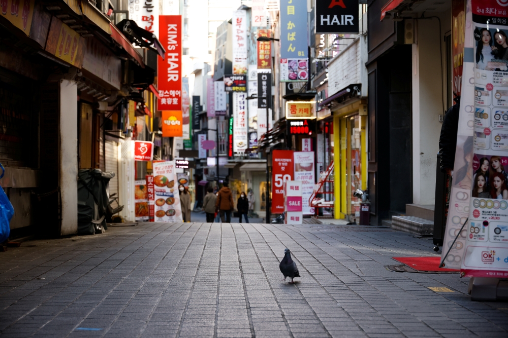 A pigeon walks at an empty shopping district amid the coronavirus disease (Covid-19) pandemic in Seoul, South Korea, November 23, 2020. REUTERS/Kim Hong-Ji