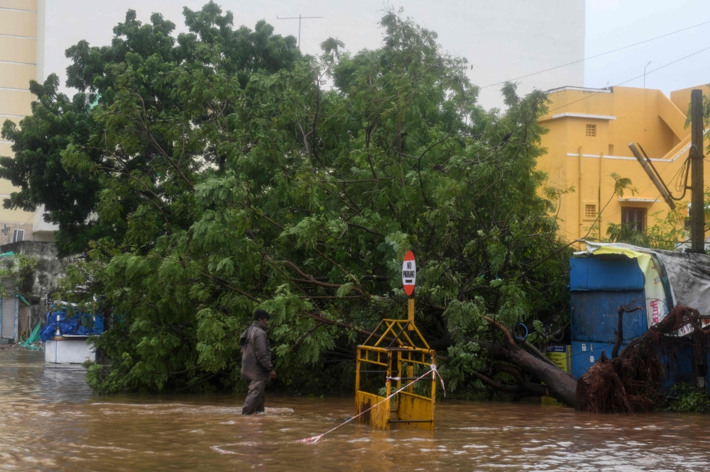 A municipal worker wade past an uprooted tree after heavy rains and wind along a waterlogged road following Cyclone Nivar landfall, in Puducherry on November 26, 2020. Accurate forecasting and the evacuation of several hundred thousand people helped avert