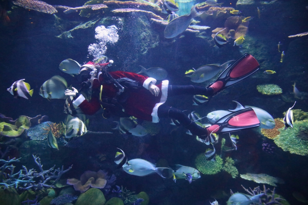 A diver dressed as Santa Claus dives at Sea Life aquarium in Bangkok, Thailand December 22, 2020. Reuters/Soe Zeya Tun