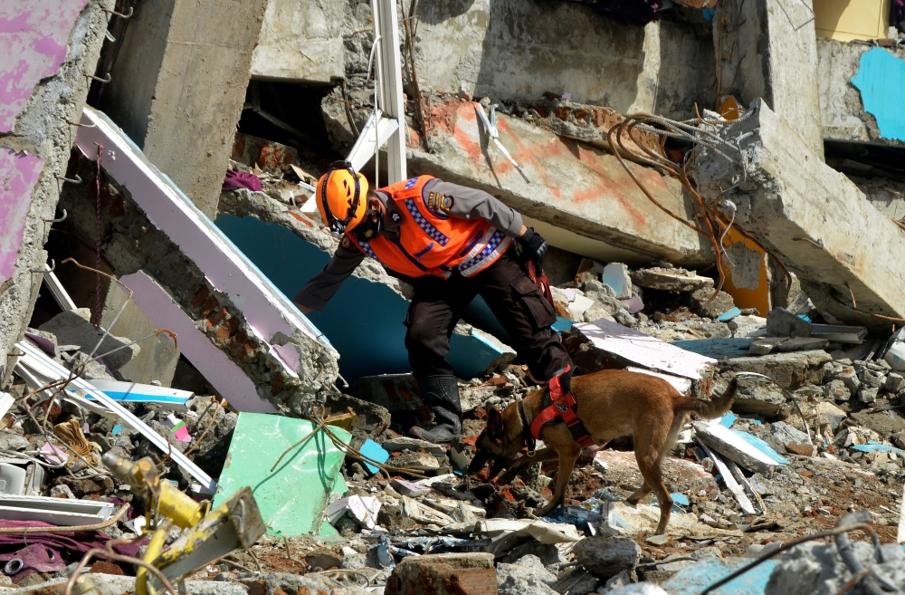 An Indonesian police officer with a K9 unit sniffer dog search for victims among the ruins of a hospital building collapsed following an earthquake in Mamuju, West Sulawesi province, Indonesia, January 18, 2021 in this photo taken by Antara Foto. Antara F