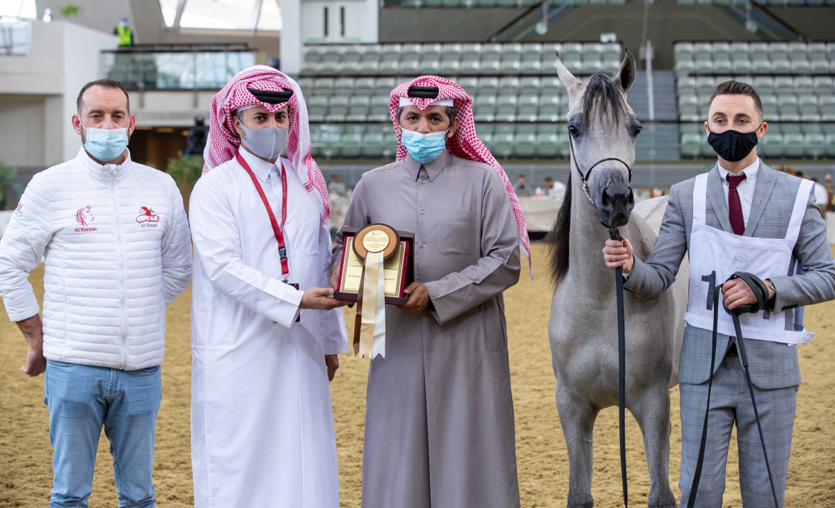 The representative of Al Rayyan Farm receiving the Gold Trophy after Hind Al Rayyan won the Yearling Fillies Class 3A event during the 23rd Qatar Arabian Horse Championship at the Longines Indoor Arena At Al Shaqab yesterday.