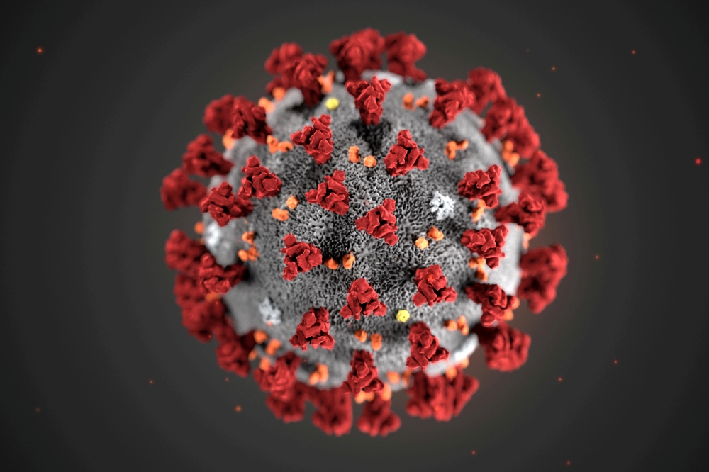 FILE PHOTO: The ultrastructural morphology exhibited by the 2019 Novel Coronavirus (2019-nCoV), which was identified as the cause of an outbreak of respiratory illness first detected in Wuhan, China, is seen in an illustration released by the Centers for 