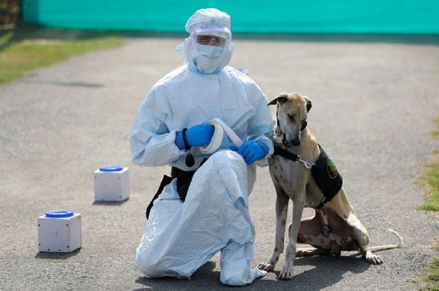 An army soldier wearing personal protective equipment (PPE) sits next to a military dog after a demonstration of the dog on how to detect the coronavirus disease (COVID-19), at an army veterinary hospital in New Delhi, India, February 9, 2021. REUTERS/Adn
