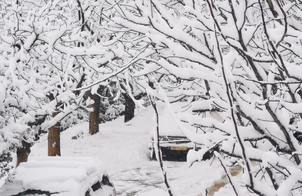 Snow envelops cars, trees, and streets in Falwi, Lebanon. February 17, 2021. Photo by The Peninsula reader Ali Mahmoud Siblani