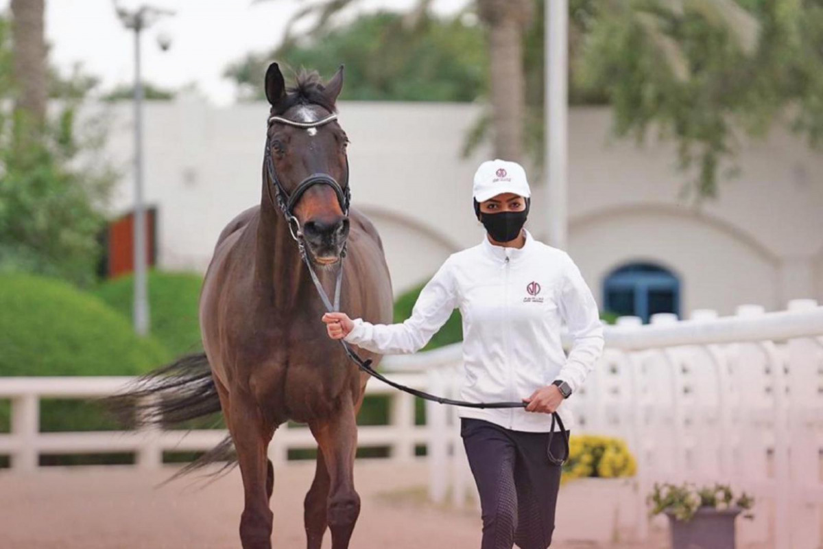 A trainer takes her horse for a vet check at the Outdoor Arena of the Qatar Equestrian Federation. The Amir Sword Festival kicks off today at the same venue