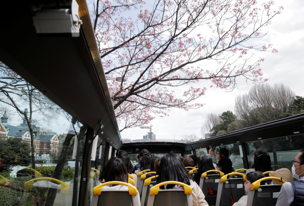 Passengers wearing protective face masks enjoy viewing blooming cherry blossoms from an open-top sightseeing bus, operated by Hato Bus Co., after Japan's government lifted the coronavirus disease (COVID-19) state of emergency in the Tokyo area, in Tokyo, 