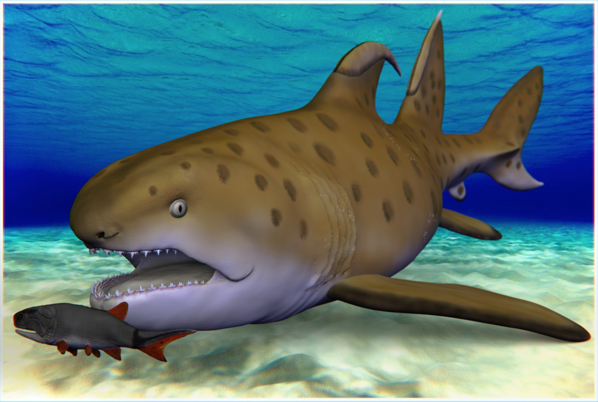 3D models shared by NMMNHS Paleontology