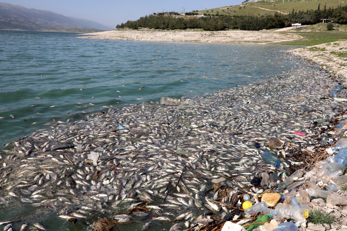 Dead fish are seen floating in Lake Qaraoun on the Litani River, Lebanon April 29, 2021. Picture taken April 29, 2021. REUTERS/Mohamed Azakir
