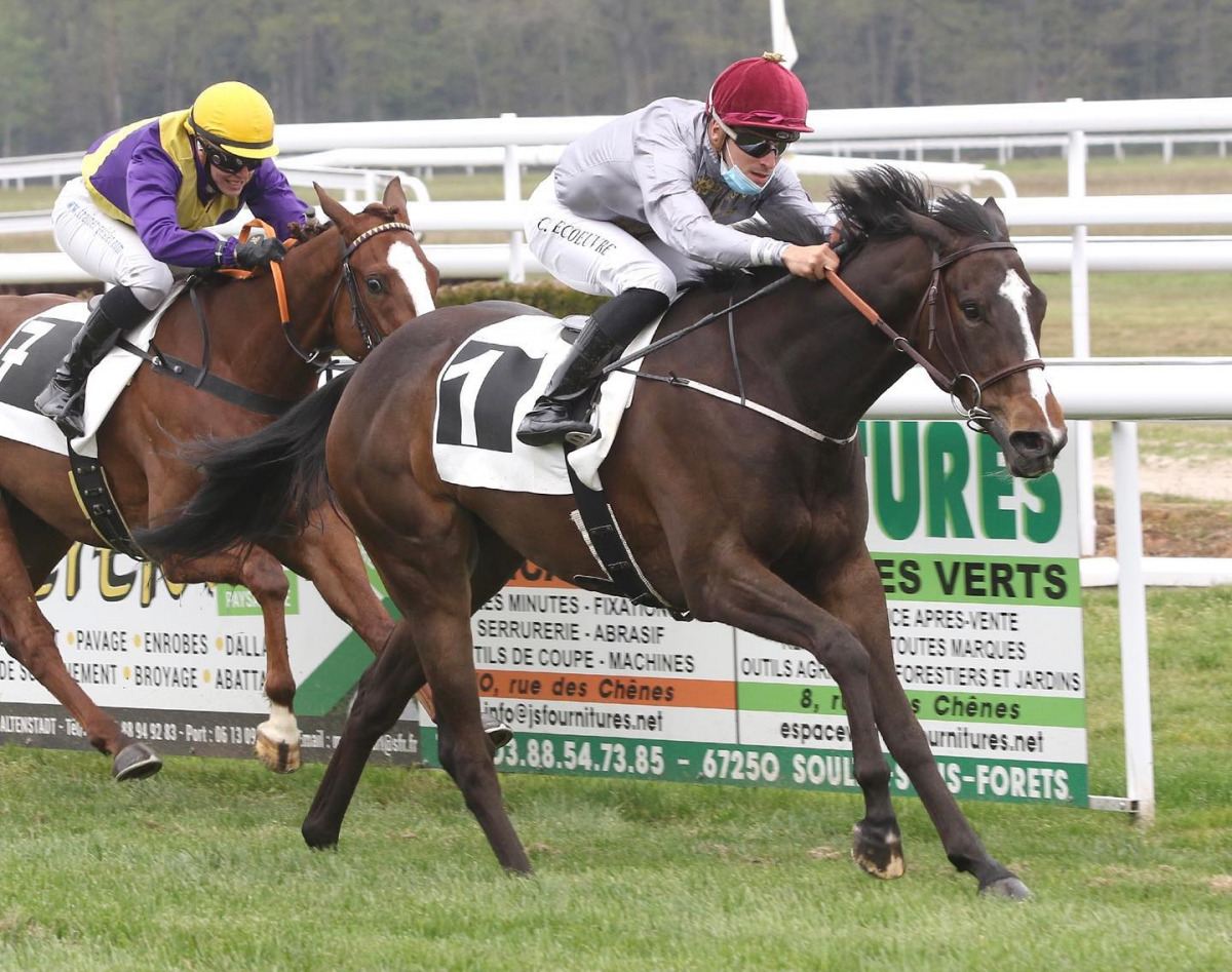 Jockey Clement
Lecœuvre guides Al
Shaqab Racing's Al
Capdamunt to victory.
PIC: FREDERIC DIEHL