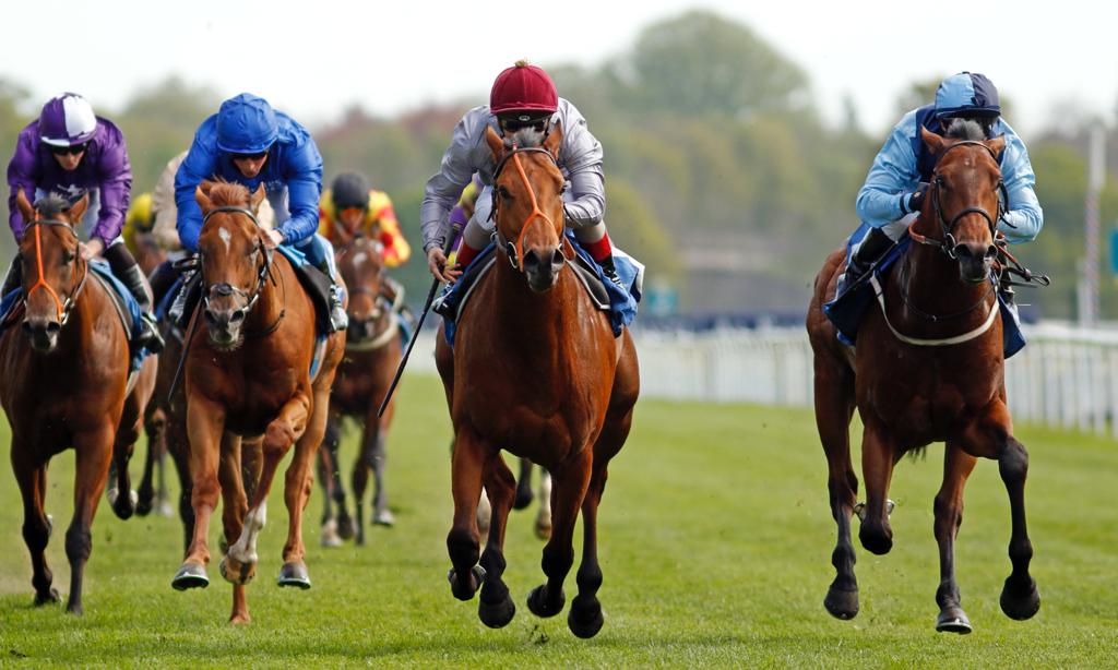 Jockey Andrea Atzeni (centre) guides Al Shaqab Racing’s Lusail (IRE) to win the Constant Security ebfstallions.com Maiden Stakes at York, UK on Thursday. Pic: Racingfotos