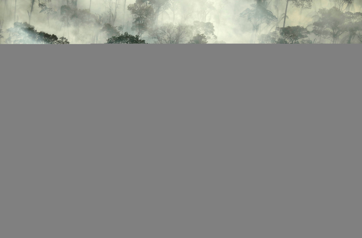 FILE PHOTO: Smoke billows from a fire in an area of the Amazon rainforest near Porto Velho, Rondonia State, Brazil, September 10, 2019. REUTERS/Bruno Kelly/File Photo/File Photo
