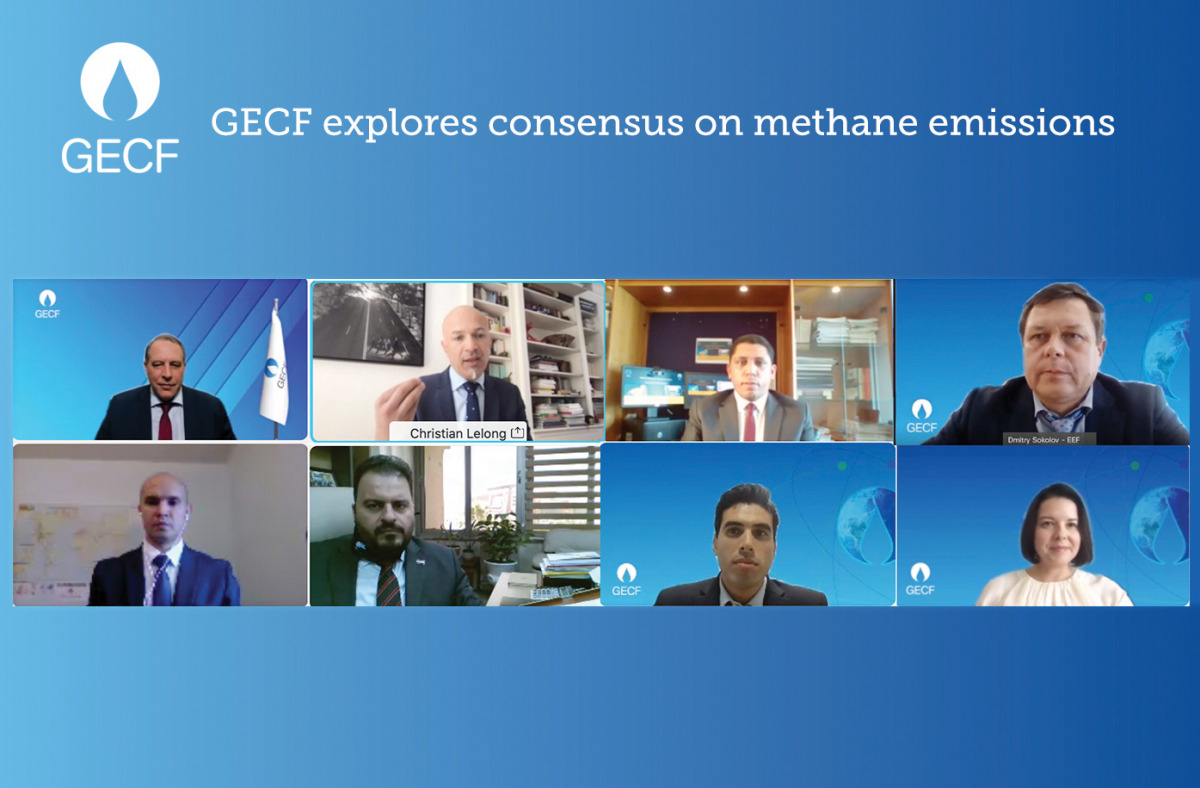 Officials and experts during online workshop.