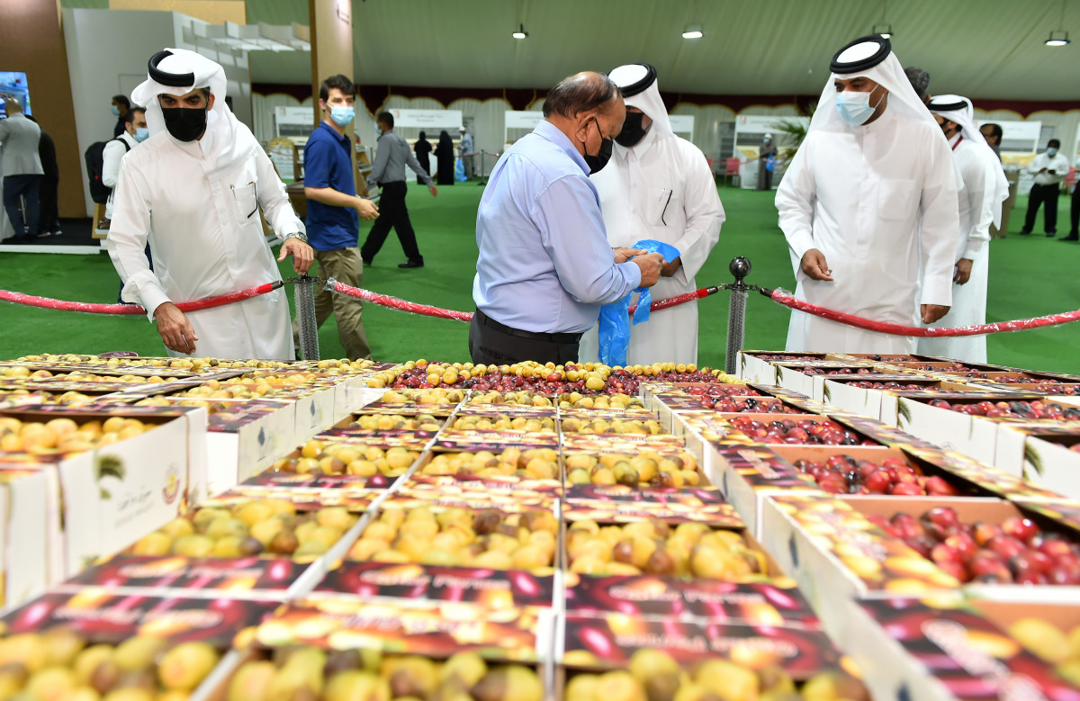 6th Fresh Local Dates Festival 2021 opened today at Souq Waqif. Pic: Abdul Basit / The Peninsula 