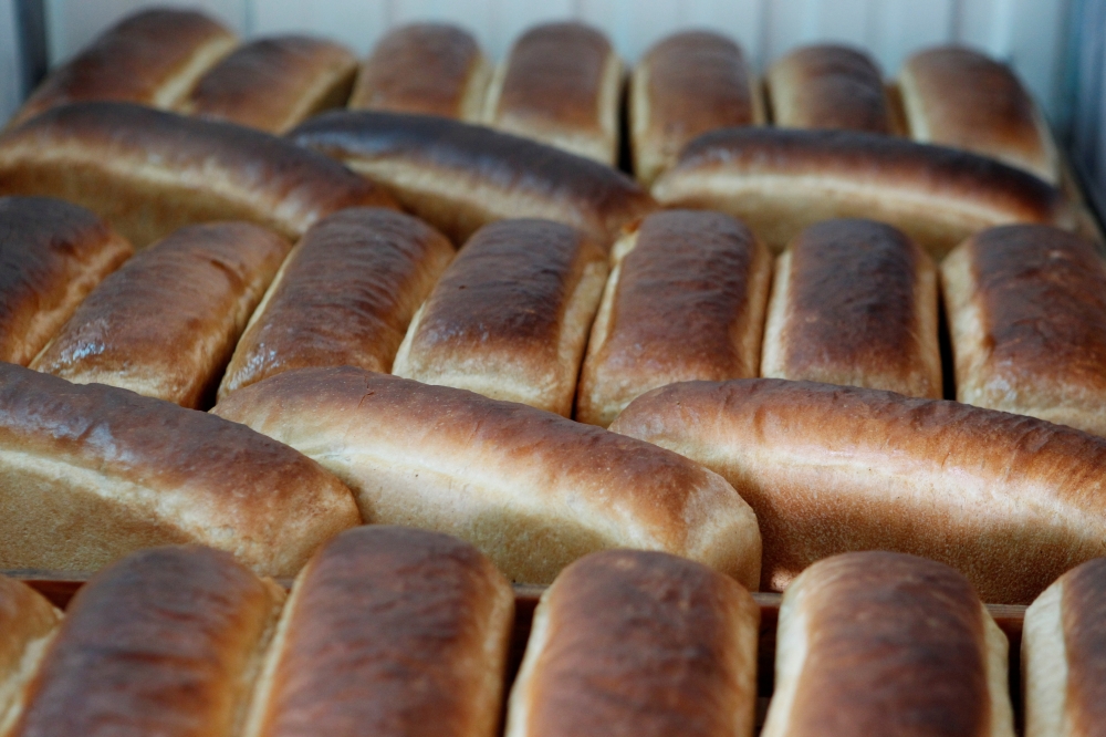 Loaves of freshly baked bread are seen at a bakery in the village of Kurskaya, in Stavropol region, Russia July 17, 2017. Picture taken July 17, 2017. REUTERS/Eduard Korniyenko/File Photo