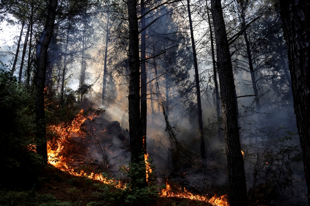 Trees burn in flames during a wildfire near Marmaris, Turkey, July 31, 2021. REUTERS/Umit Bektas