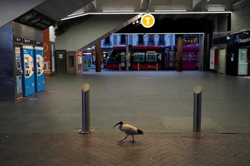 A lone bird walks past the quiet Circular Quay train station during a lockdown to curb the spread of a coronavirus disease (COVID-19) outbreak in Sydney, Australia, July 28, 2021. REUTERS/Loren Elliott/File Photo