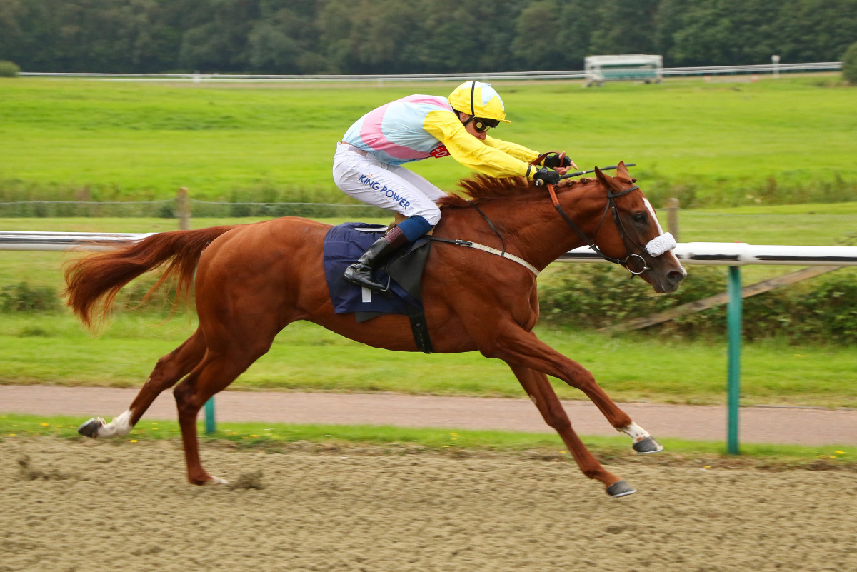 Nasim storms to victory at Lingfield Park Racecourse. Pic: Racingfotos