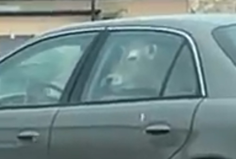 Screenshot of the video shared by Jessica Nelson