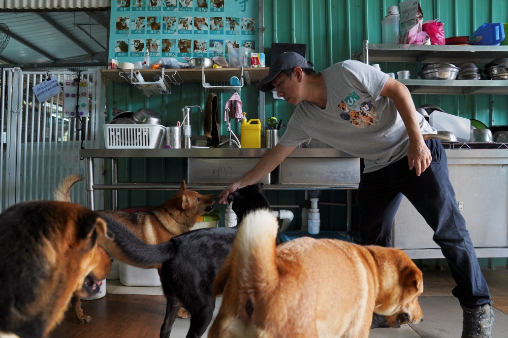 Kent Luk, founder of Paws Guardian Rescue Shelter, interacts with dogs inside his shelter in Hong Kong, China August 30, 2021. Picture taken August 30, 2021. REUTERS/Lam Yik