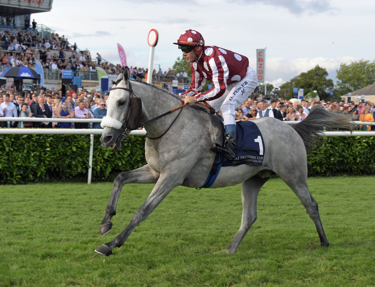 Olivier Peslier guides H H Sheikh Abdullah bin Khalifa Al Thani-owned Abbes to victory at Doncaster Racecourse yesterday. PIC: Racingfotos